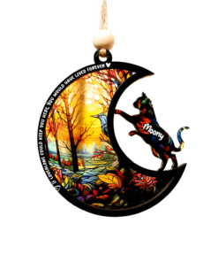 Personalized Loss Of Cat Sympathy Suncatcher, Cat Memorial Gift, Pet Memorial Suncatcher, Loss of Cat Gift, Cat Lovers