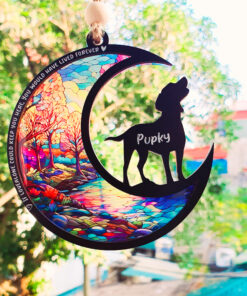 Personalized Loss Of Dog Sympathy Suncatcher, Dog Memorial Gift, Pet Memorial Suncatcher, Loss of Dog Gift, Dog Lovers